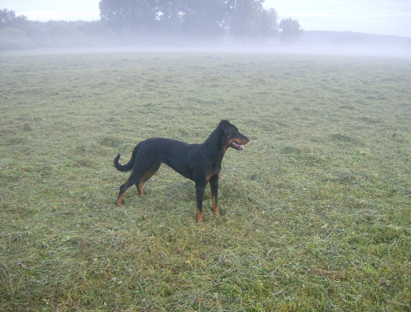 Delta des bergers du Vent