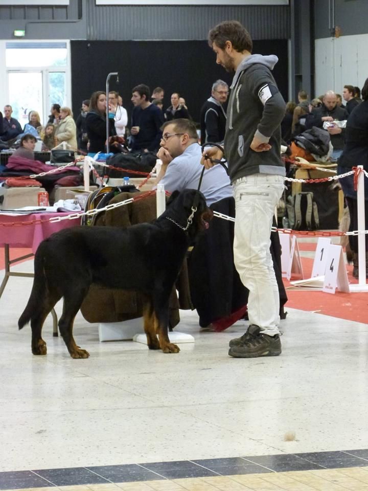 Ikon des bergers du Vent