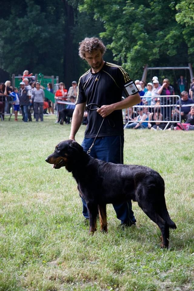 Ikon des bergers du Vent