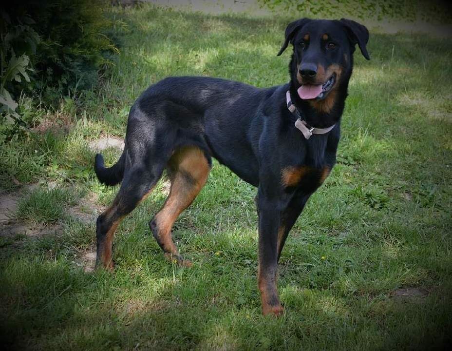 Ness des bergers du Vent