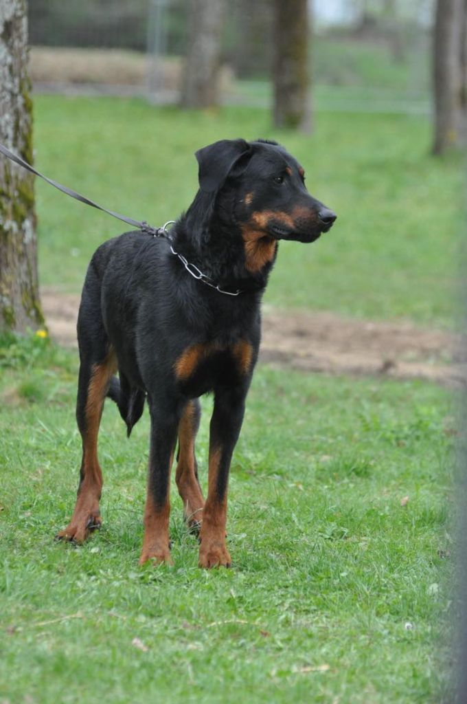 Toki des bergers du Vent