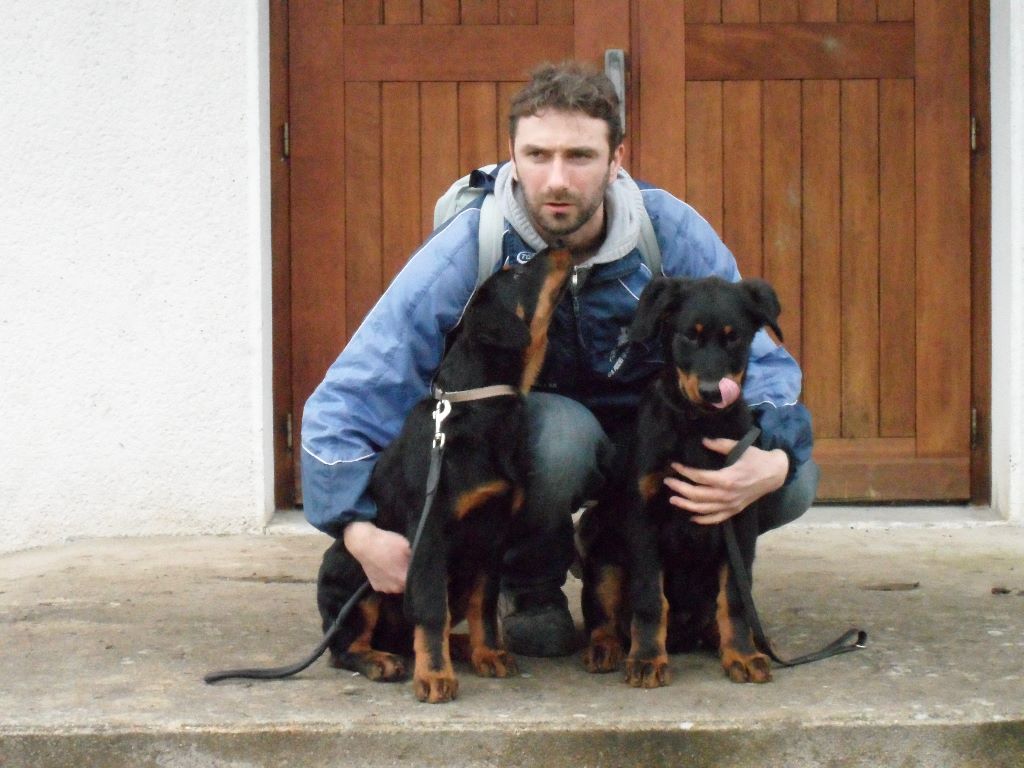 Nos chiens (2011-2015)